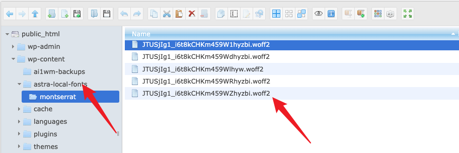 WordPress教程 - WP Rocket 缓存插件使用教程-16 WordPress教程 - WP Rocket - 缓存插件 - 加速优化使用教程